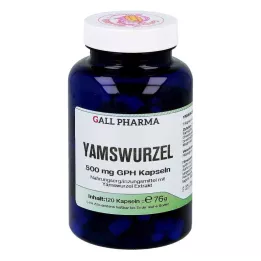 YAMSWURZEL 500 mg GPH κάψουλες, 120 κάψουλες