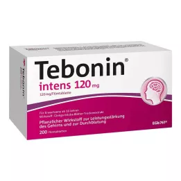 TEBONIN intens 120 mg επικαλυμμένα με λεπτό υμένιο δισκία, 200 τεμάχια