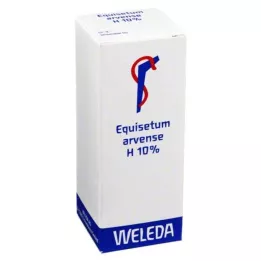 EQUISETUM ARVENSE H 10% λιπαρό λιπαντικό, 50 ml