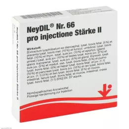 NEYDIL No.66 pro injectione St.2 αμπούλες, 5X2 ml