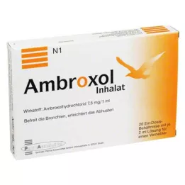 AMBROXOL Αναπνευστικό διάλυμα για νεφελοποιητή, 20X2 ml