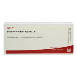 SECALE CORNUTUM E grano D 6 αμπούλες, 10X1 ml