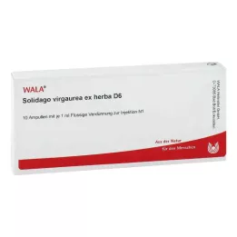 SOLIDAGO VIRGAUREA ex herba D 6 αμπούλες, 10X1 ml