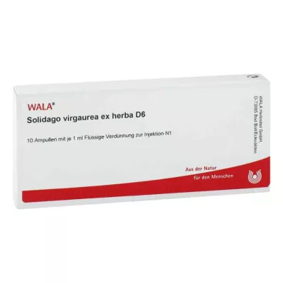 Φύσιγγες Solidago Virgaurea ex herba D6 (10x1 ml)