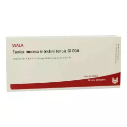 TUNICA mucosa intestini tenuis GL D 30 αμπούλες, 10X1 ml