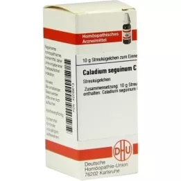 CALADIUM seguinum C 30 σφαιρίδια, 10 g