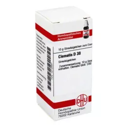 CLEMATIS D 30 σφαιρίδια, 10 g