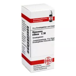 DIOSCOREA VILLOSA C 30 σφαιρίδια, 10 g