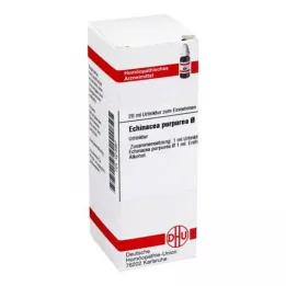 ECHINACEA PURPUREA Μητρικό βάμμα, 20 ml