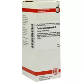 EQUISETUM ARVENSE Αραίωση D 6, 50 ml