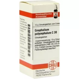 GNAPHALIUM POLYCEPHALUM C 30 σφαιρίδια, 10 g