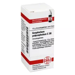 GNAPHALIUM POLYCEPHALUM C 30 σφαιρίδια, 10 g