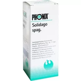 PHÖNIX SOLIDAGO μίγμα spag., 100 ml