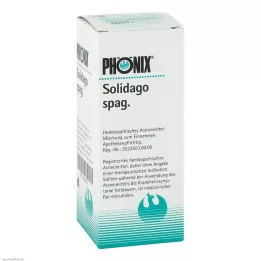 PHÖNIX SOLIDAGO μίγμα spag., 100 ml