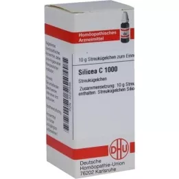 SILICEA C 1000 σφαιρίδια, 10 g