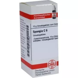 SPONGIA C 6 σφαιρίδια, 10 g