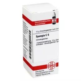 SPONGIA C 6 σφαιρίδια, 10 g
