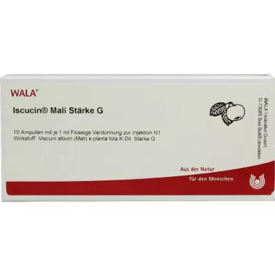 ISCUCIN αμπούλες με άμυλο mali G, 10X1 ml