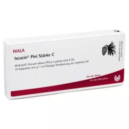 ISCUCIN αμπούλες pini Starch C, 10X1 ml