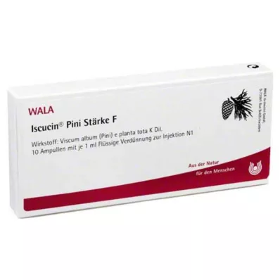 Φύσιγγες Iscucin Pini St.F, 10Χ1 ml