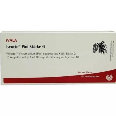 ISCUCIN αμπούλες με άμυλο Pini G, 10X1 ml