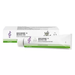 BIOCHEMIE 11 Κρέμα Silicea D 6, 100 ml