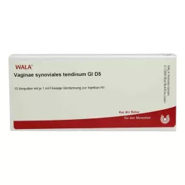 VAGINAE αρθρικό τενόντιο GL D 5 αμπούλες, 10X1 ml