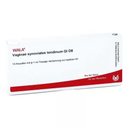 VAGINAE αρθρικό τενόντιο GL D 8 αμπούλες, 10X1 ml
