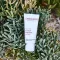 ALOE VERA CREME μέσο χωρίς άρωμα, 30 ml
