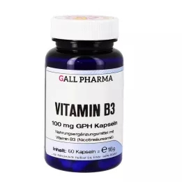 VITAMIN B3 100 mg GPH κάψουλες, 60 κάψουλες