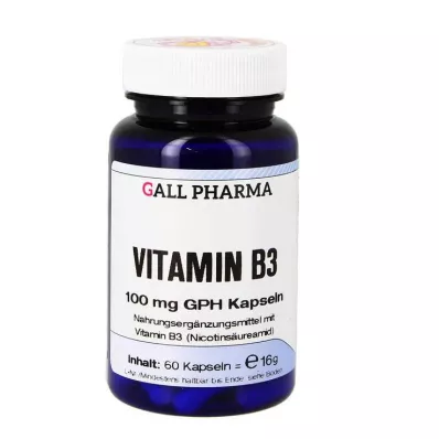 VITAMIN B3 100 mg GPH κάψουλες, 60 κάψουλες