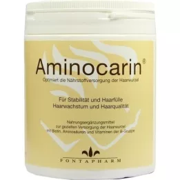 AMINOCARIN κονσέρβα σε σκόνη, 400 g