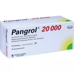 PANGROL 20.000 δισκία με εντερική επικάλυψη, 100 τεμάχια