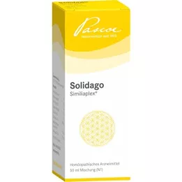 SOLIDAGO SIMILIAPLEX Σταγόνες, 50 ml