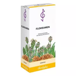 FLOHSAMEN Πυρήνες, 300 g