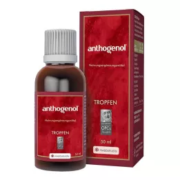 ANTHOGENOL Masquelier OPC Σταγόνες, 50 ml