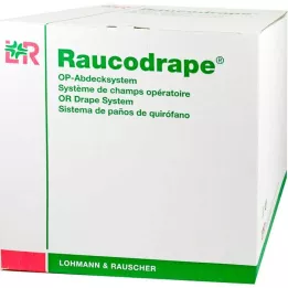 RAUCODRAPE Διάτρητο χαρτομάντιλο N ear 175x240 cm 2-ply sk, 11 τμχ