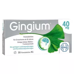 GINGIUM Επικαλυμμένα με λεπτό υμένιο δισκία, 30 τεμάχια