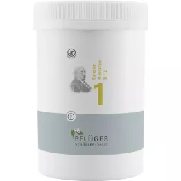 BIOCHEMIE Pflüger 1 Calcium fluoratum D 12 δισκία, 4000 τεμάχια