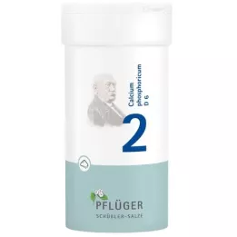 BIOCHEMIE Pflüger 2 Φωσφορικό ασβέστιο D 6 σε σκόνη, 100 g