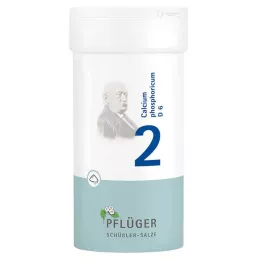 BIOCHEMIE Pflüger 2 Φωσφορικό ασβέστιο D 6 σε σκόνη, 100 g