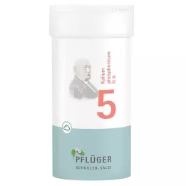BIOCHEMIE Pflüger 5 Φωσφορικό κάλιο D 6 σε σκόνη, 100 g
