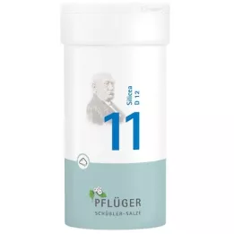 BIOCHEMIE Pflüger 11 Silicea D 12 σκόνη, 100 g