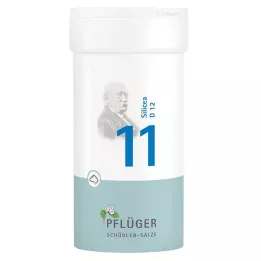 BIOCHEMIE Pflüger 11 Silicea D 12 σκόνη, 100 g
