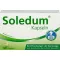 SOLEDUM 100 mg γαστροανθεκτικές κάψουλες, 100 τεμάχια