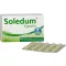 SOLEDUM 100 mg γαστροανθεκτικές κάψουλες, 100 τεμάχια