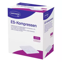 ES-KOMPRESSEN αποστειρωμένο 5x5 cm 12x χύμα συσκευασία, 5X20 τεμάχια