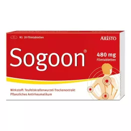 SOGOON 480 mg επικαλυμμένα με λεπτό υμένιο δισκία, 20 τεμάχια