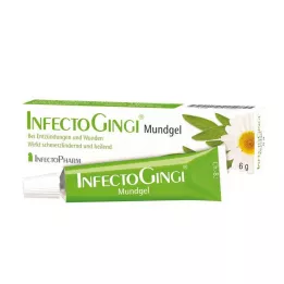 INFECTOGINGI Στοματικό τζελ, 6 g