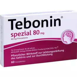 TEBONIN ειδικά επικαλυμμένα με λεπτό υμένιο δισκία 80 mg, 60 τεμάχια